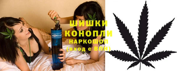 MESCALINE Покачи