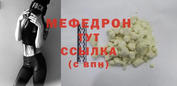 хмурый Пересвет