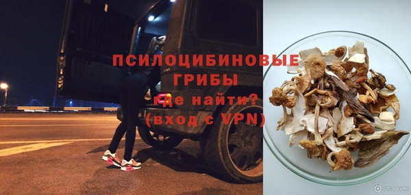 MESCALINE Покачи