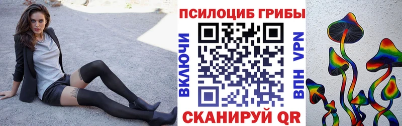 закладка  Кологрив  Галлюциногенные грибы мицелий 